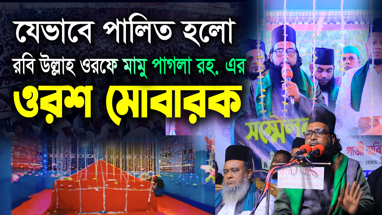 যেভাবে পালিত হলো রবিউল্লাহ ওরফে মামু পাগলা রহ. এর ওরশ মোবারক